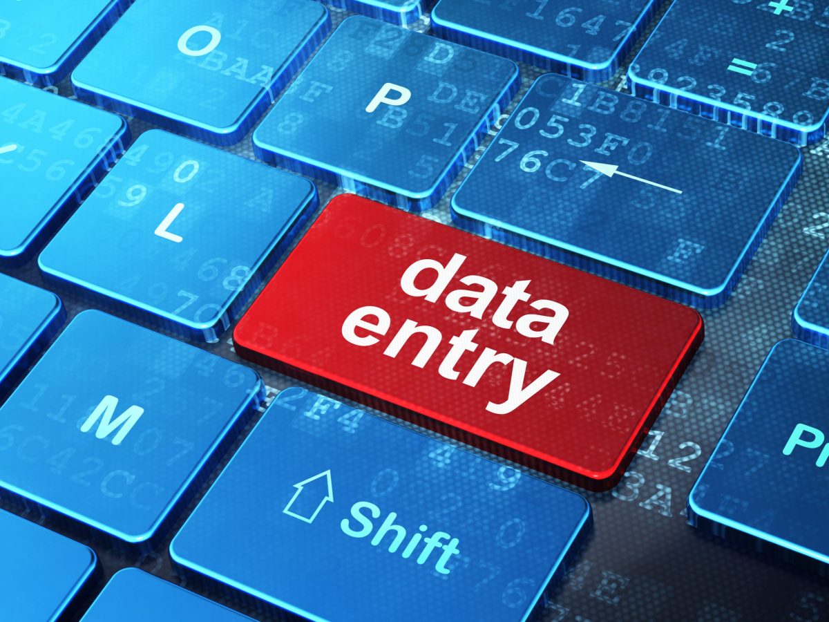 belajar data entry profesional